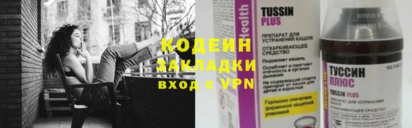 молекула духа Кулебаки