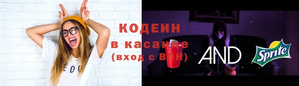 молекула духа Кулебаки