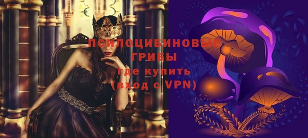 спиды Кукмор