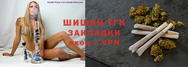 молекула духа Кулебаки
